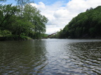 IMG 4760